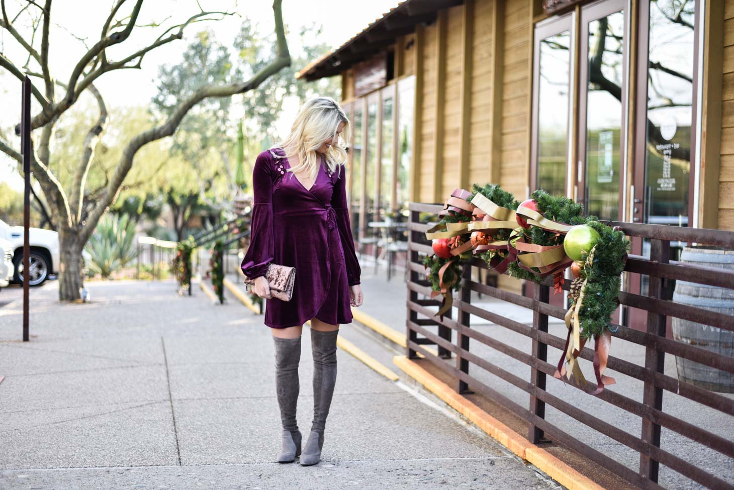 Erin Elizabeth of Wink and a Twirl in Holiday Dress